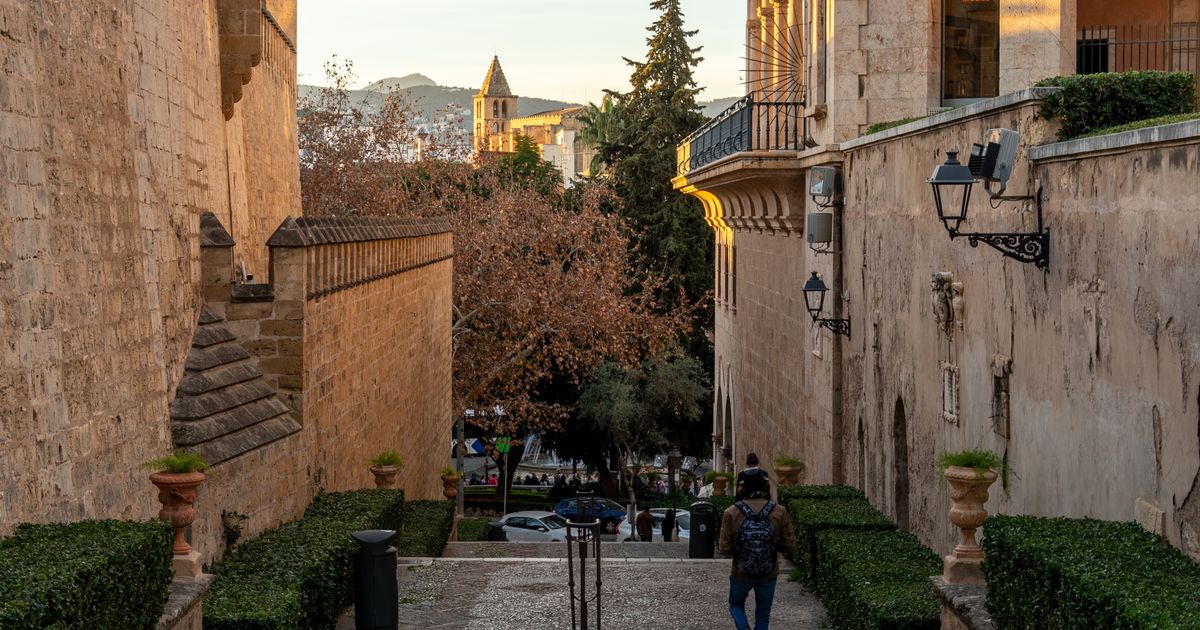 Königspalast La Almudaina in Palma bei Sonnenuntergang mit Palmen