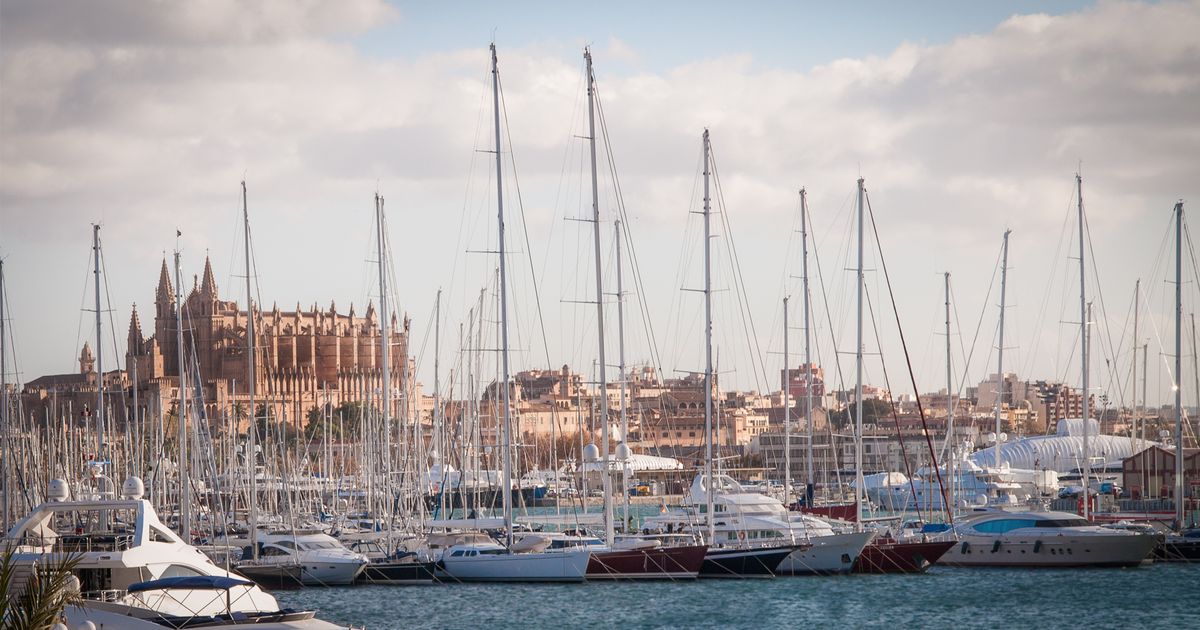 Yachthafen von Palma de Mallorca mit der Kathedrale La Seu im Hintergrund