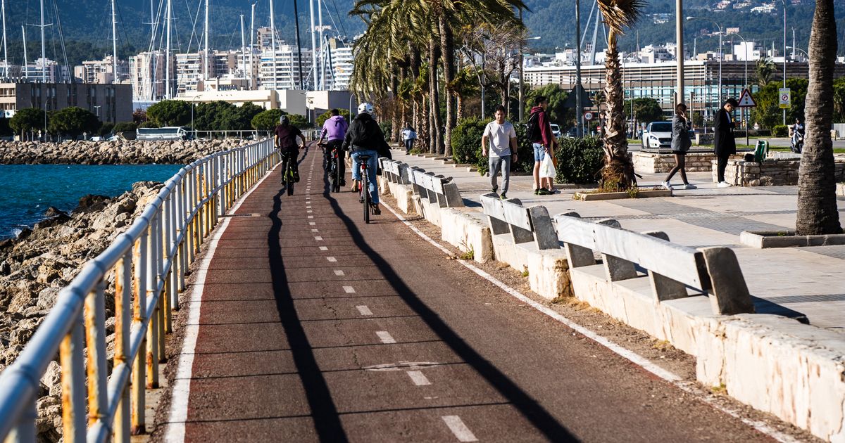 Paseo Marítimo in Palma de Mallorca – Radweg mit Palmenallee am Meer