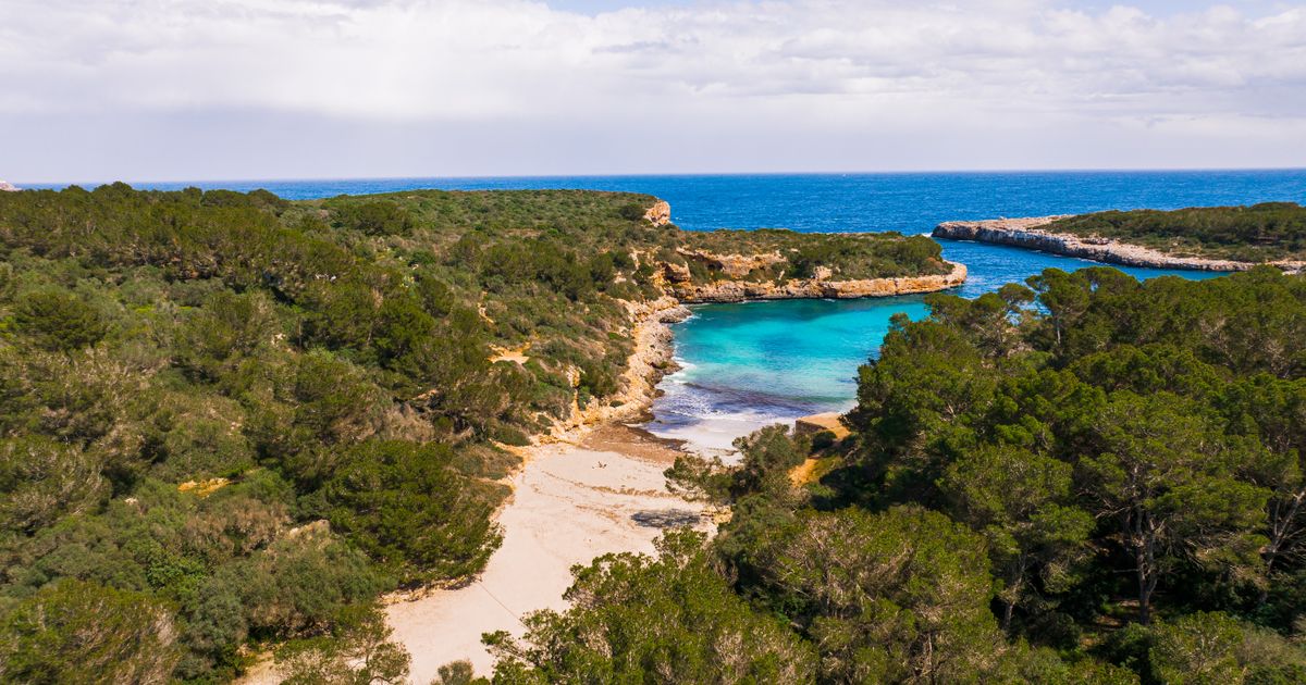 Cala Mondragó Naturpark Bucht mit türkisem Wasser auf Mallorca