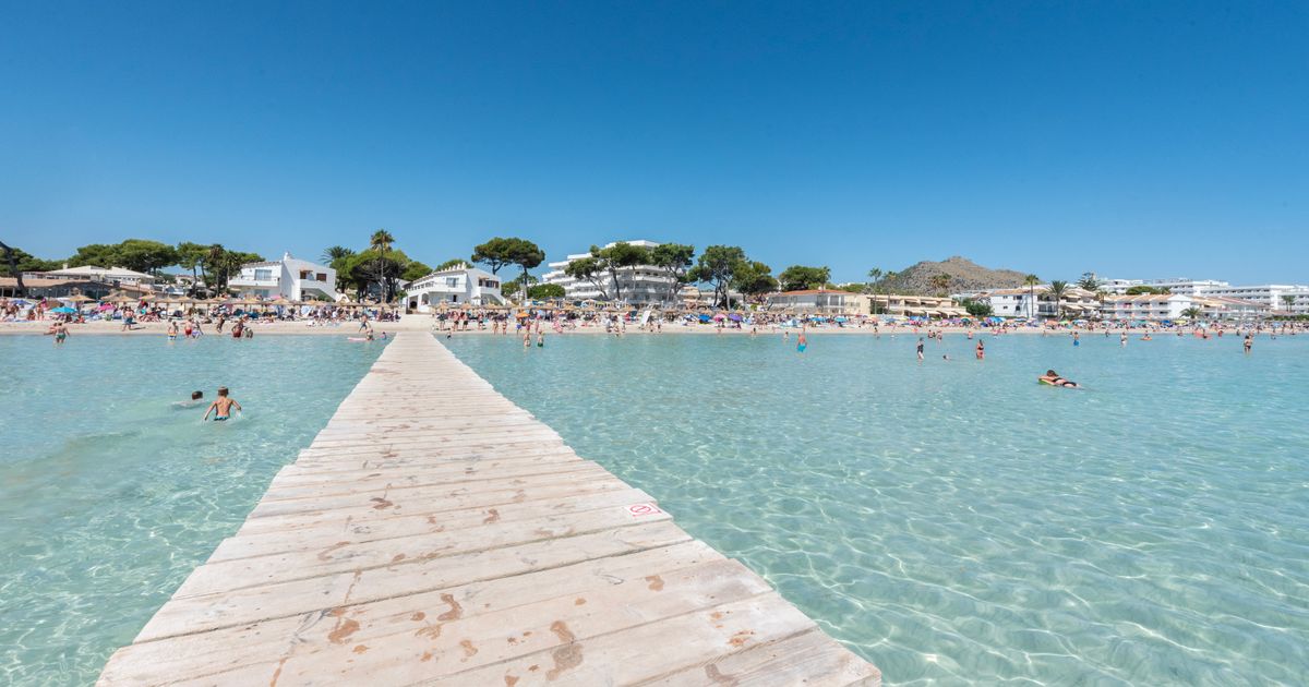 Playa de Muro Strand mit kristallklarem Wasser im Norden Mallorcas
